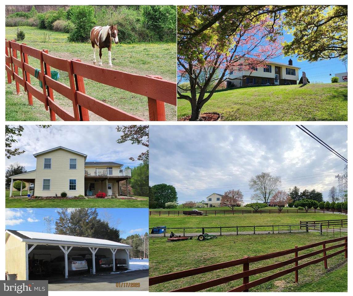 13605 Martin Road - Photo 1