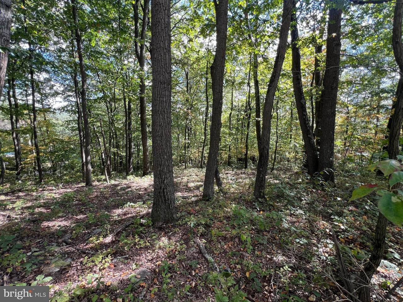 Lot 31 Woodlawn Drive - Photo 1