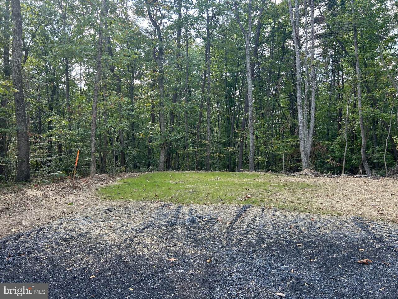 PARCEL 5 Camden Lane - Photo 1