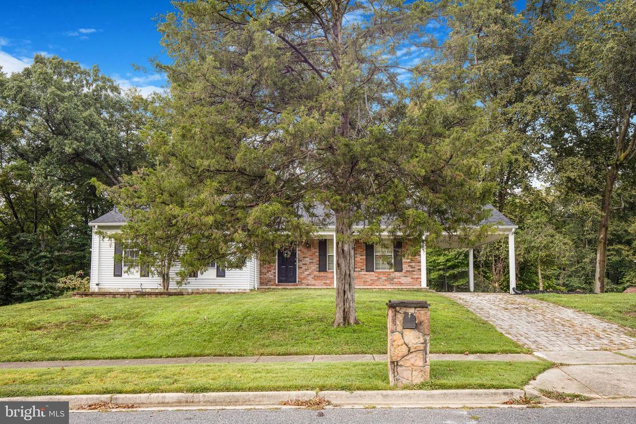 804 Cascade Drive - Photo 1