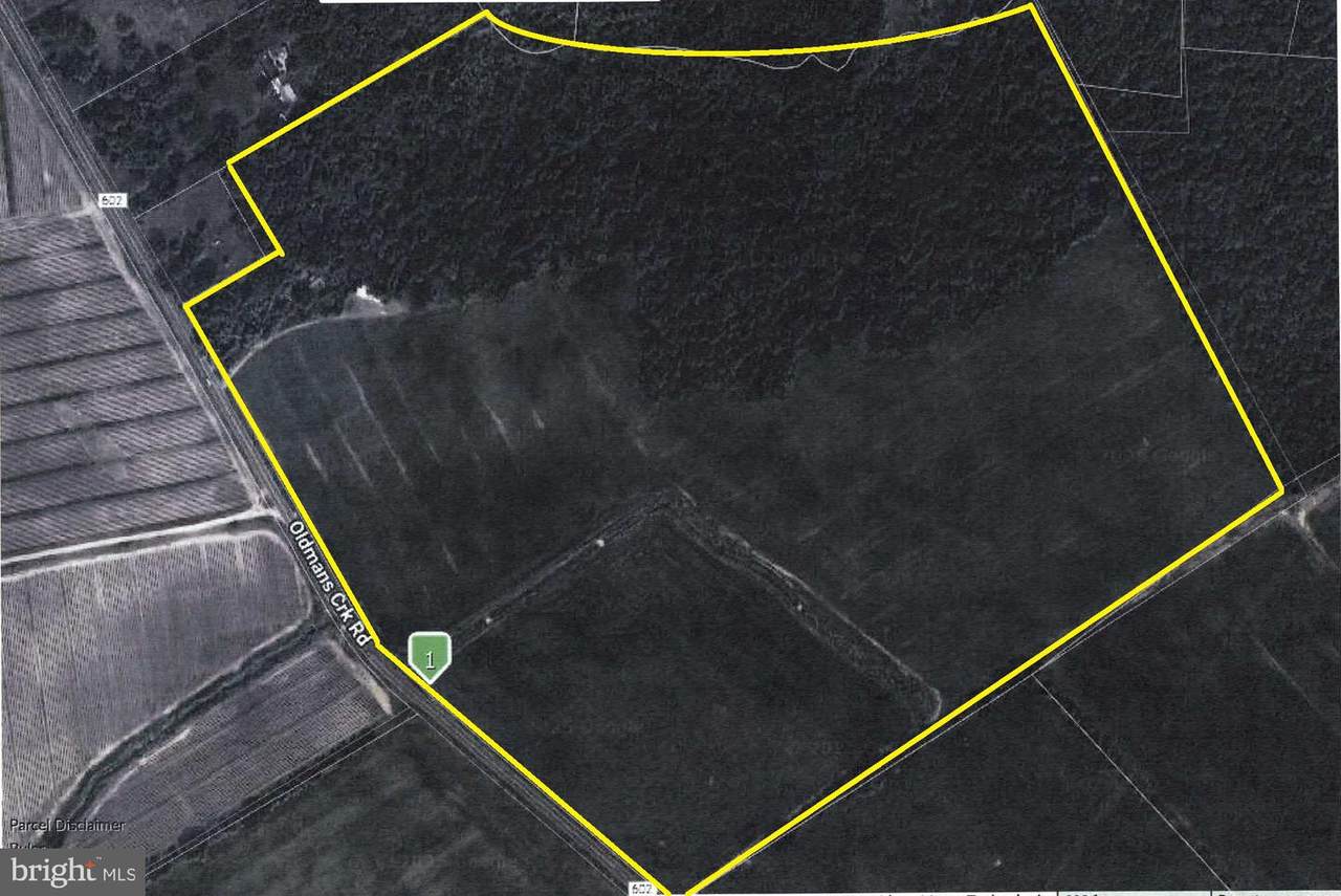 2157 Oldmans Creek Road - Photo 1