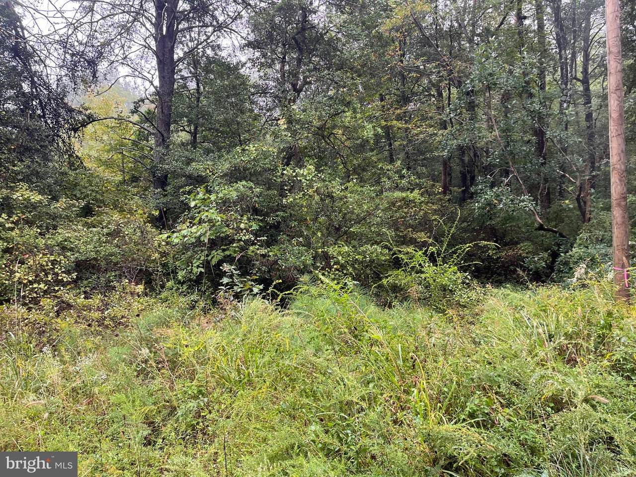 Lot 20 Chrystal Rd. - Photo 1