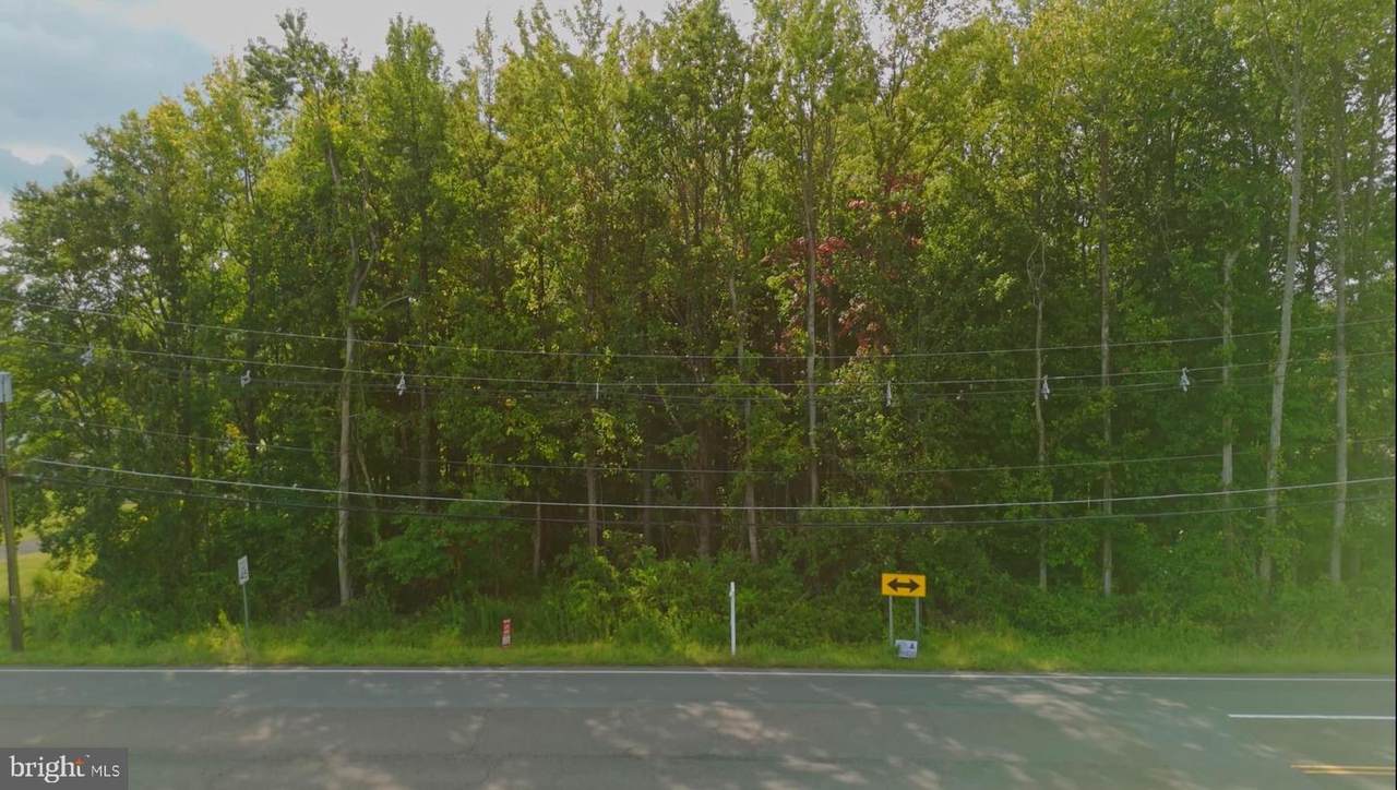 85 Carter Road - Photo 1