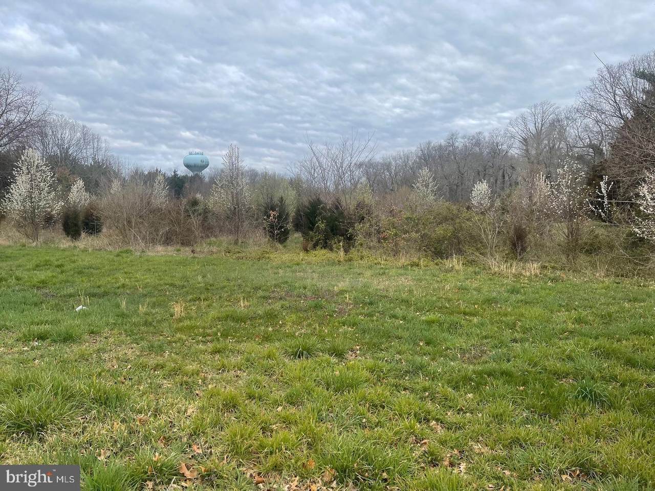 1550 Lincoln Avenue - Photo 1