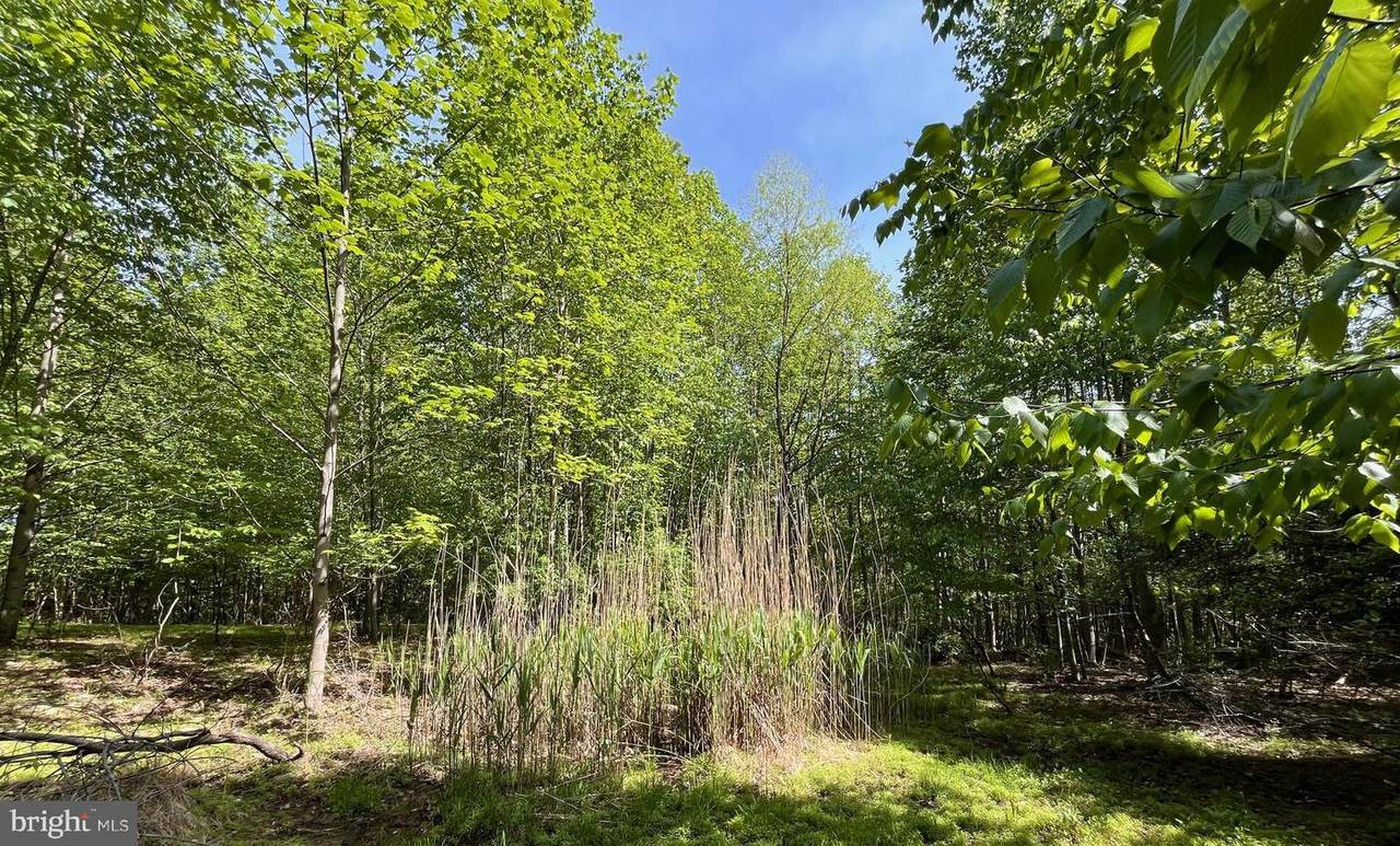 7893 Leaser Road - Photo 1