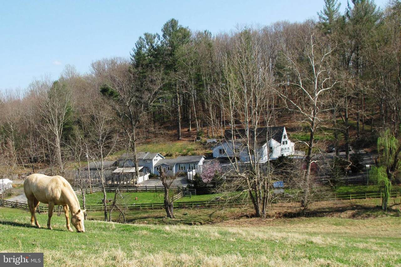 20 Victory Lane - Photo 1