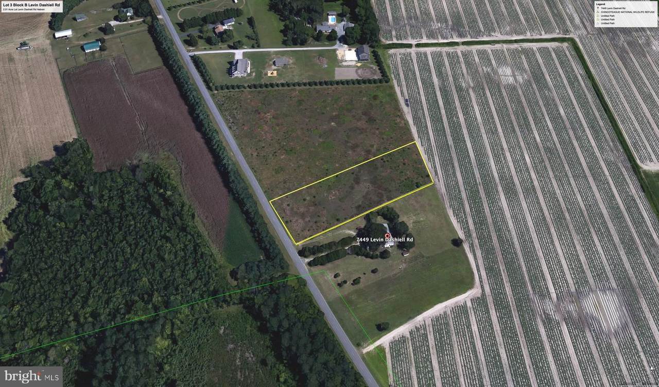 0 Levin Dashiell Road - Photo 1
