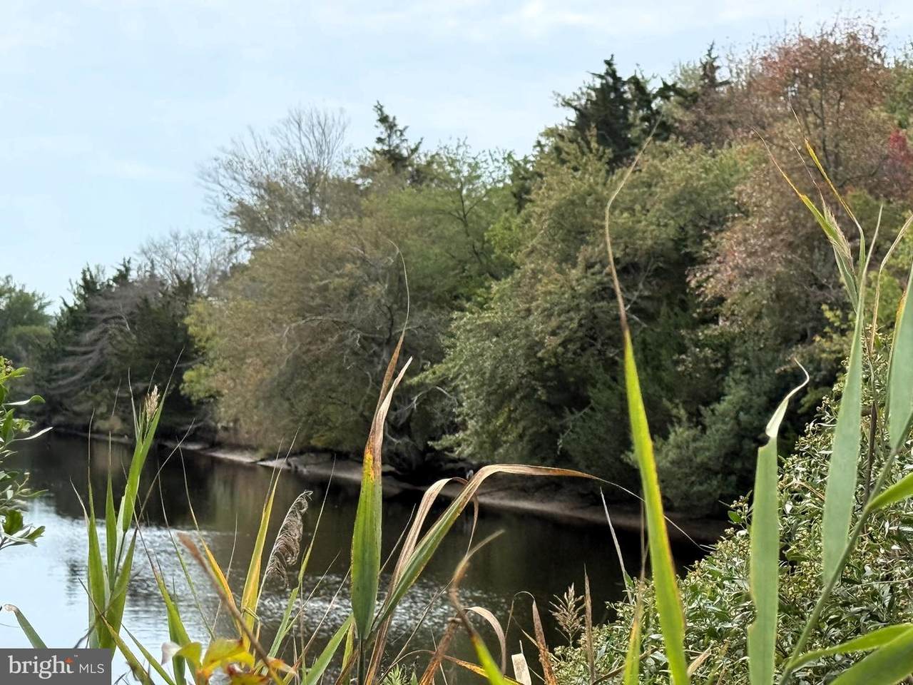 11 Persimmon Drive - Photo 1