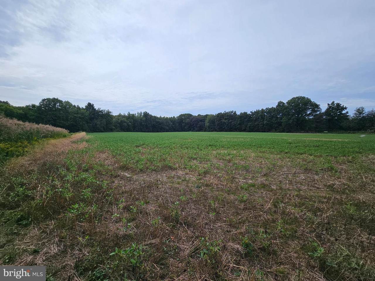 2334 Old York Road - Photo 1