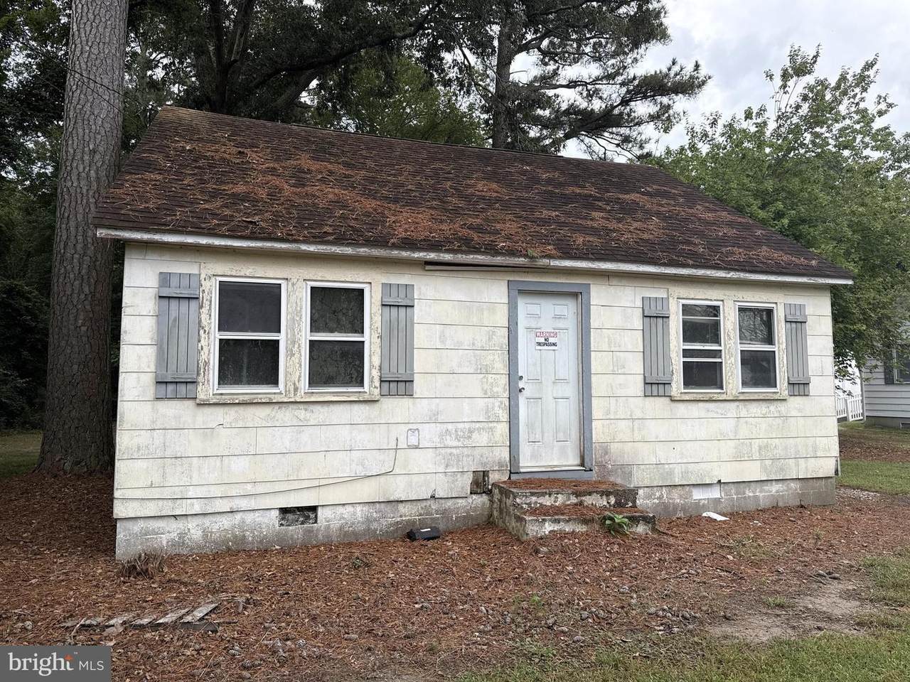 10338 Old Ocean City Boulevard - Photo 1
