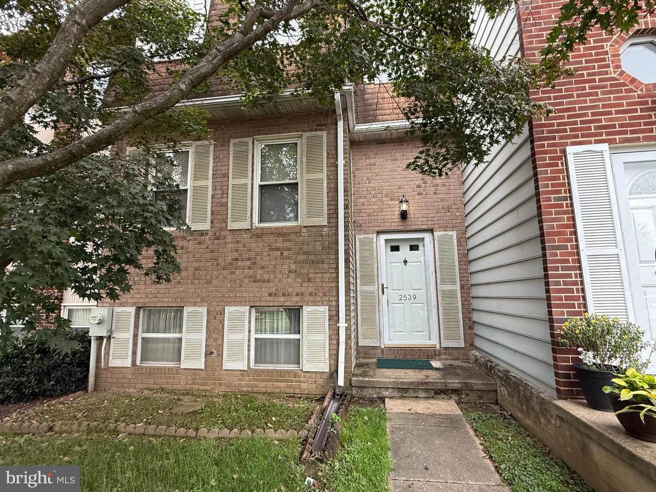 2539 Vineyard Lane - Photo 1