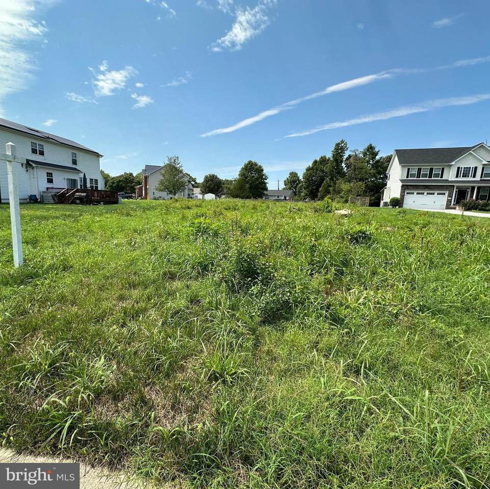 10309 Brandywine Road - Photo 1