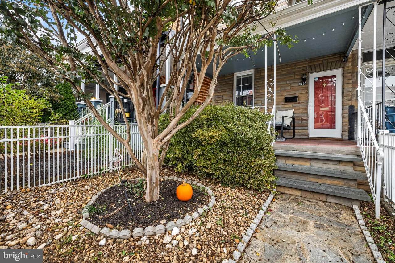 3507 Chestnut Avenue - Photo 1