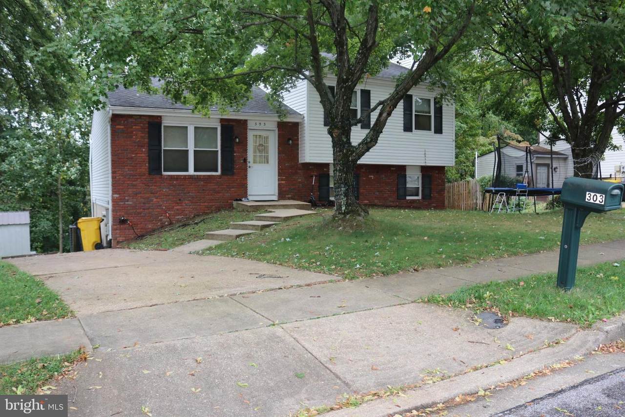 303 Ternwing Drive - Photo 1