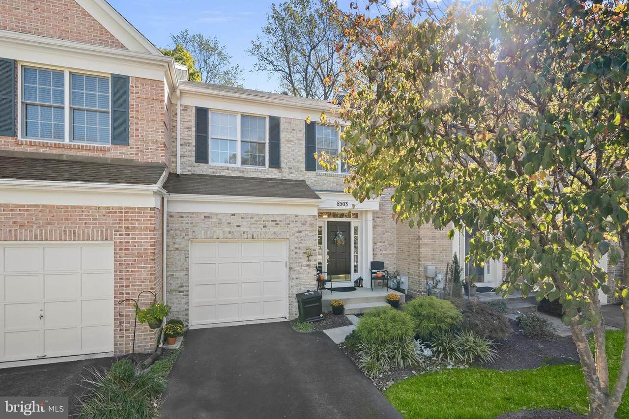 8503 Timber Pine Court - Photo 1