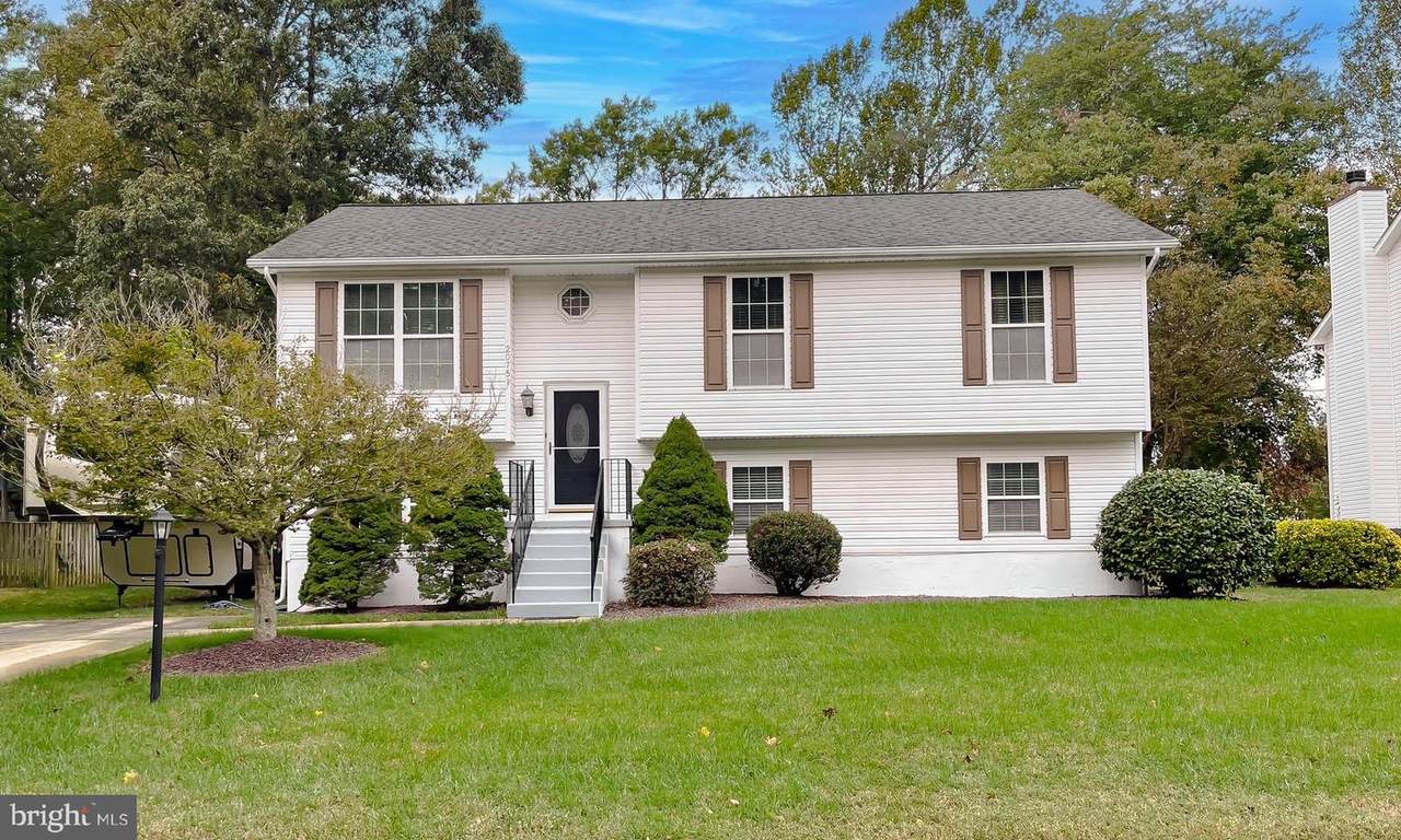 20751 Wolftrap Street - Photo 1