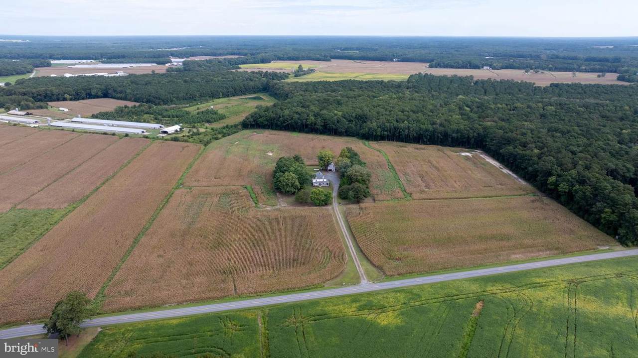 3557 Sheephouse Road - Photo 1