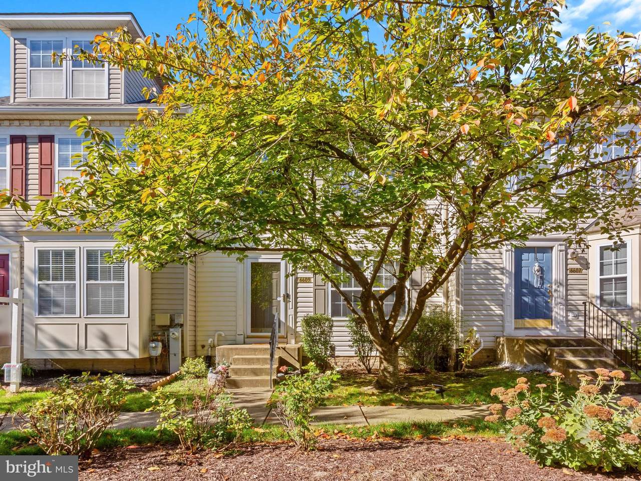 6609 Fable Court - Photo 1