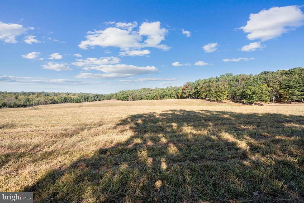 Lot 5 Gun Club Road - Photo 1