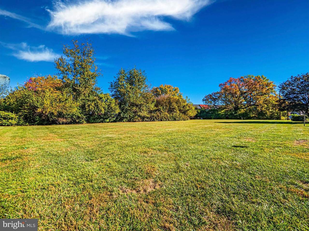 17712 Woodwards Store Road - Photo 1