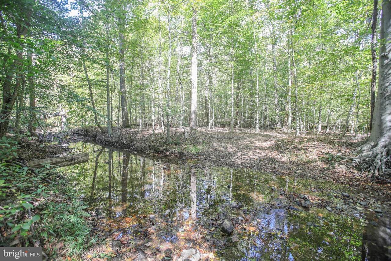 11521 Luther Drive - Photo 1