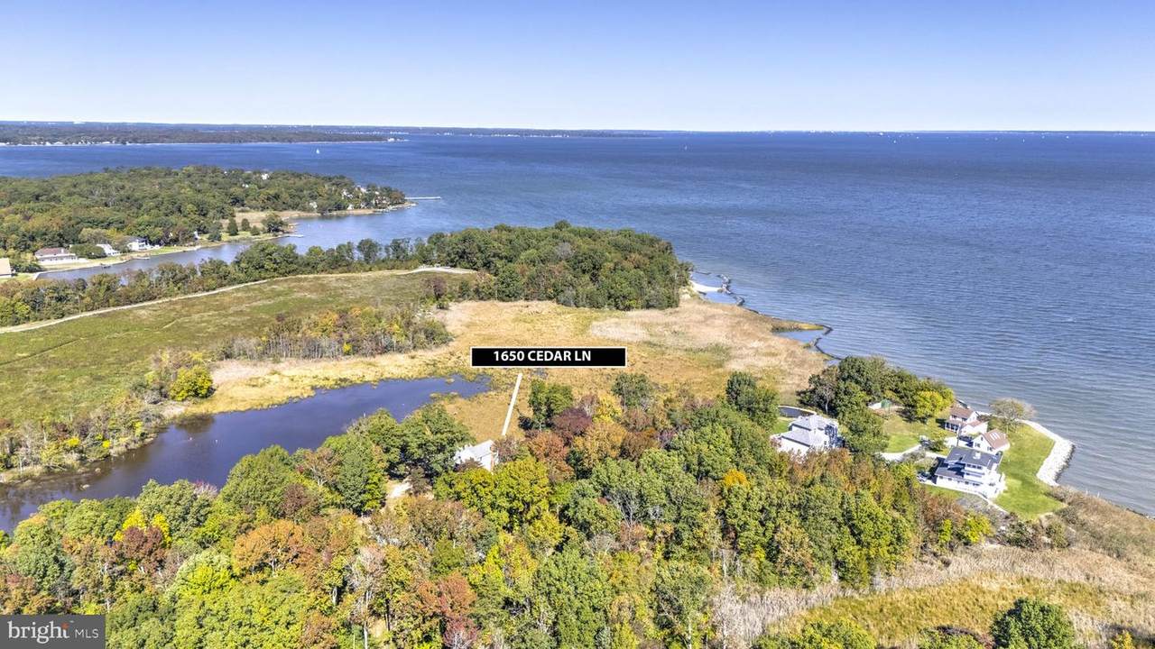 1650 Cedar Lane - Photo 1