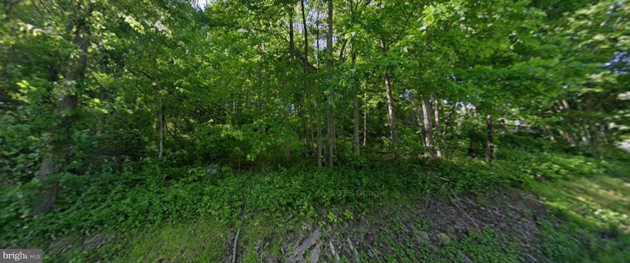 00 Ferguson Valley Road - Photo 1