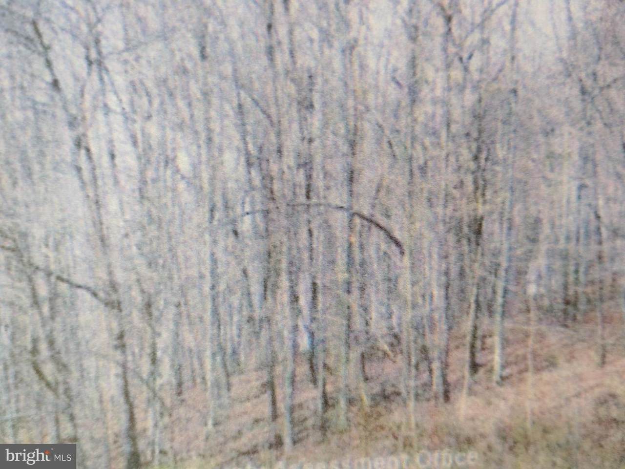 22 Right Hand Gap Road - Photo 1