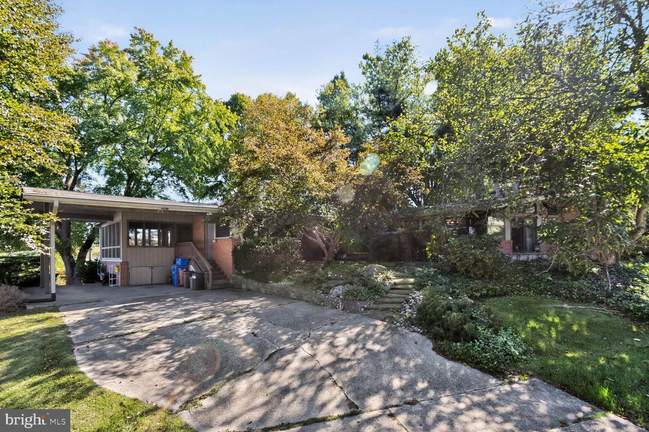 3200 Pauline Drive - Photo 1