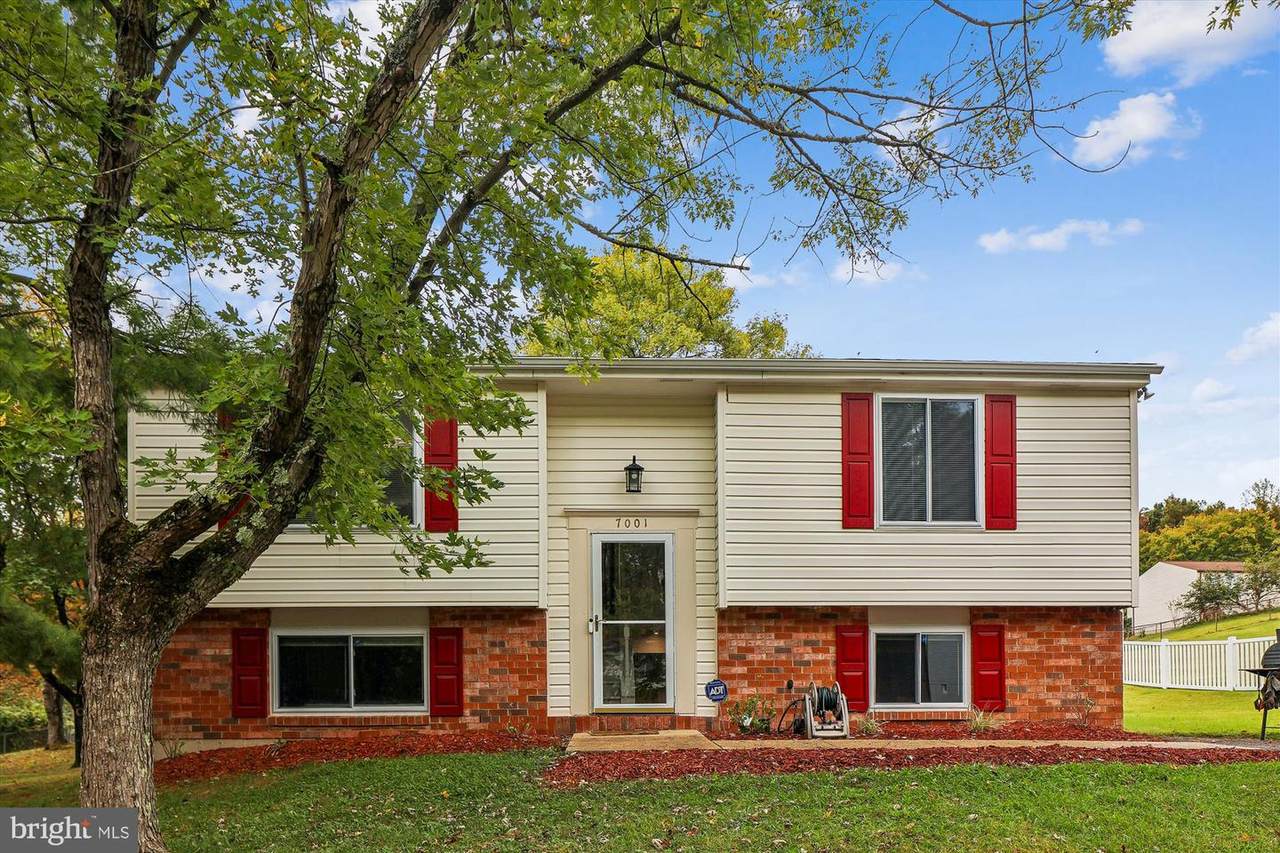 7001 Killarney Street - Photo 1