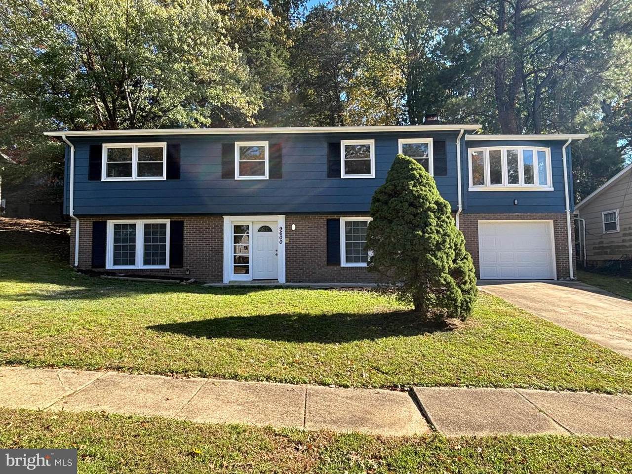 9600 Caltor Lane - Photo 1