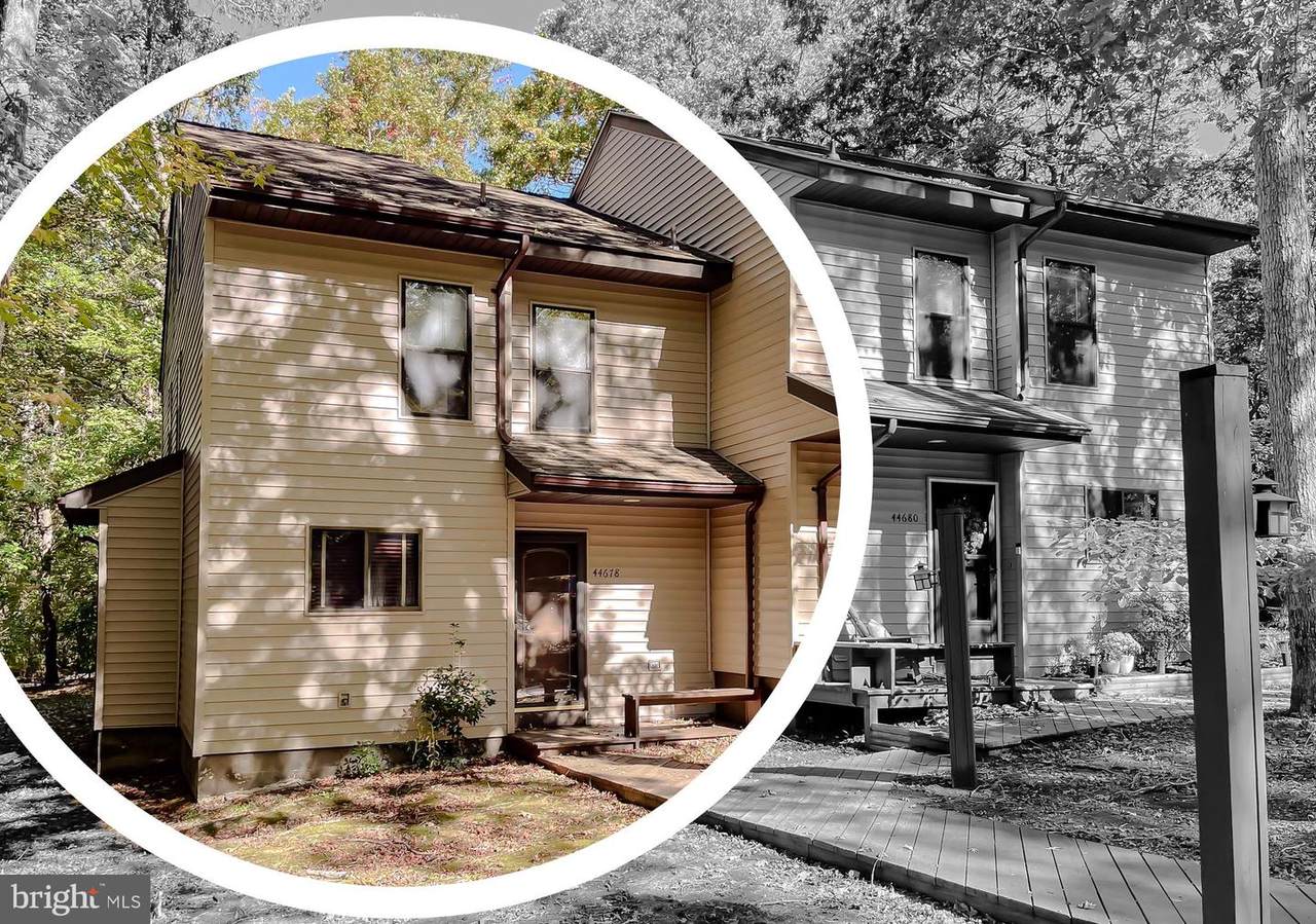 44678 Willow Oak Court - Photo 1