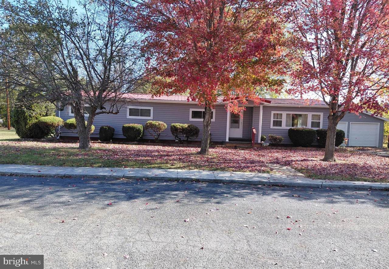 11 Trenton Street - Photo 1