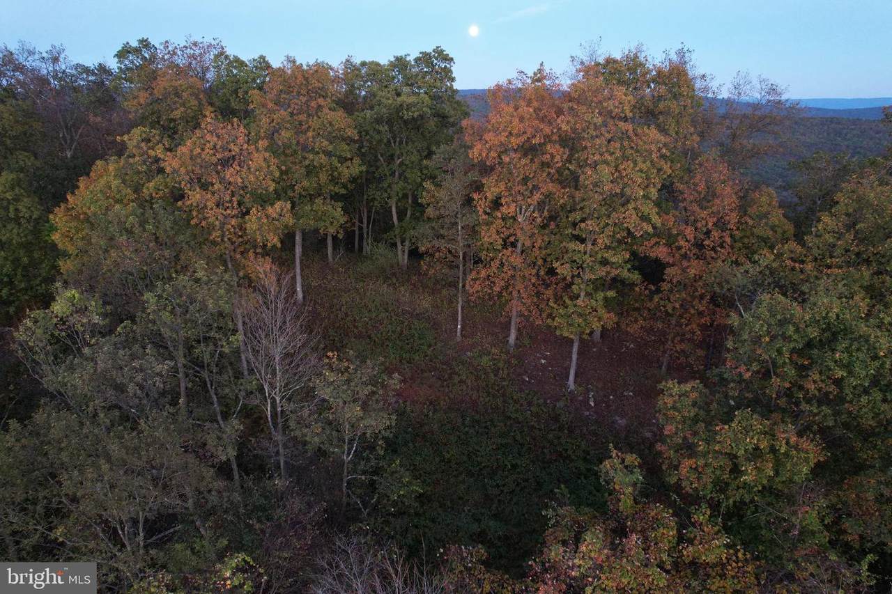 1790 Monroe Mountain Road - Photo 1