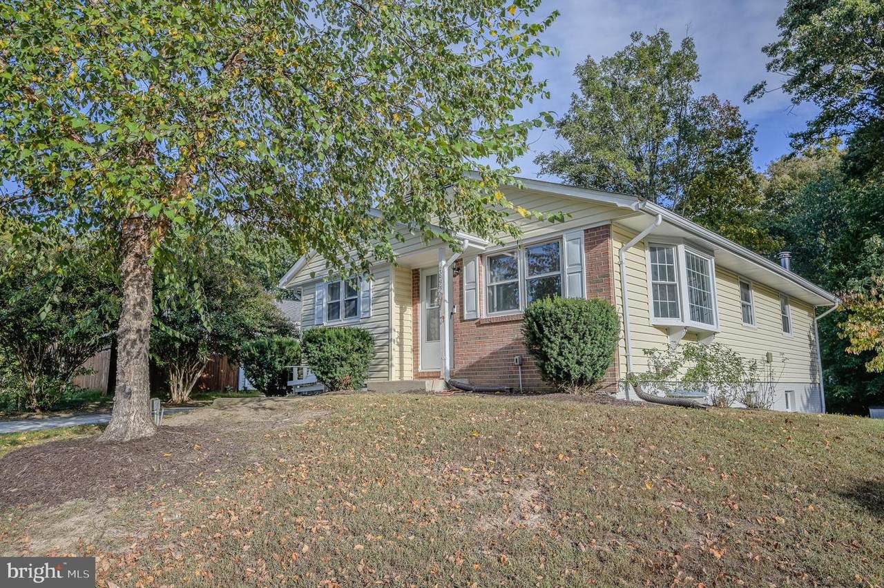 2893 Chalet Court - Photo 1