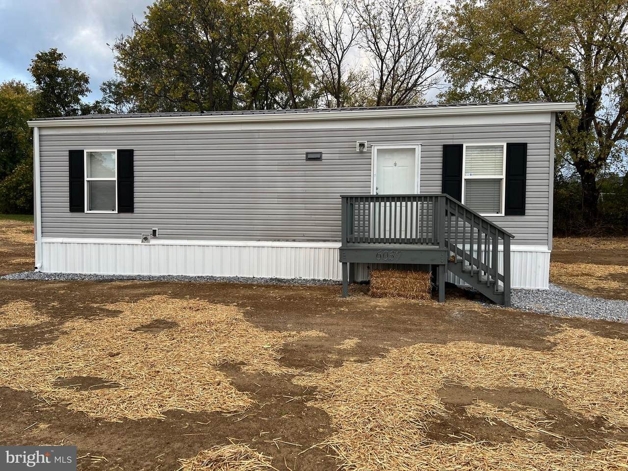 6037 Specks Run Road - Photo 1