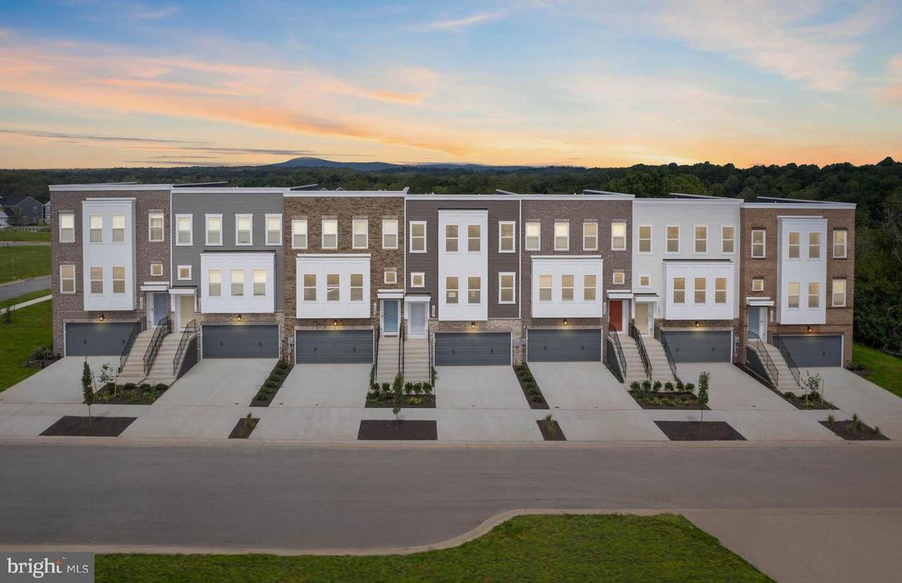 14443 Leafhopper Drive - Photo 1