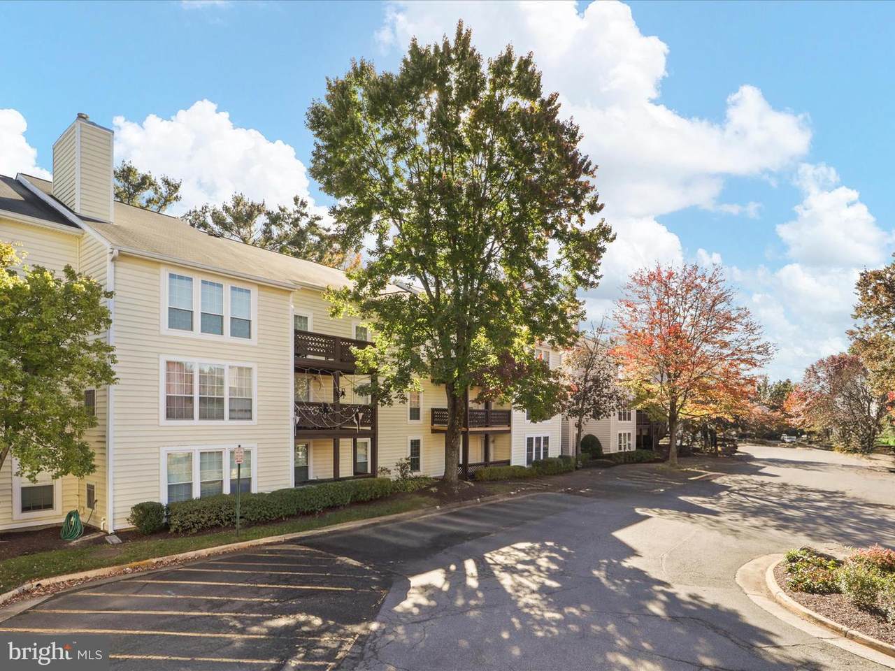 10064 Oakton Terrace Road - Photo 1