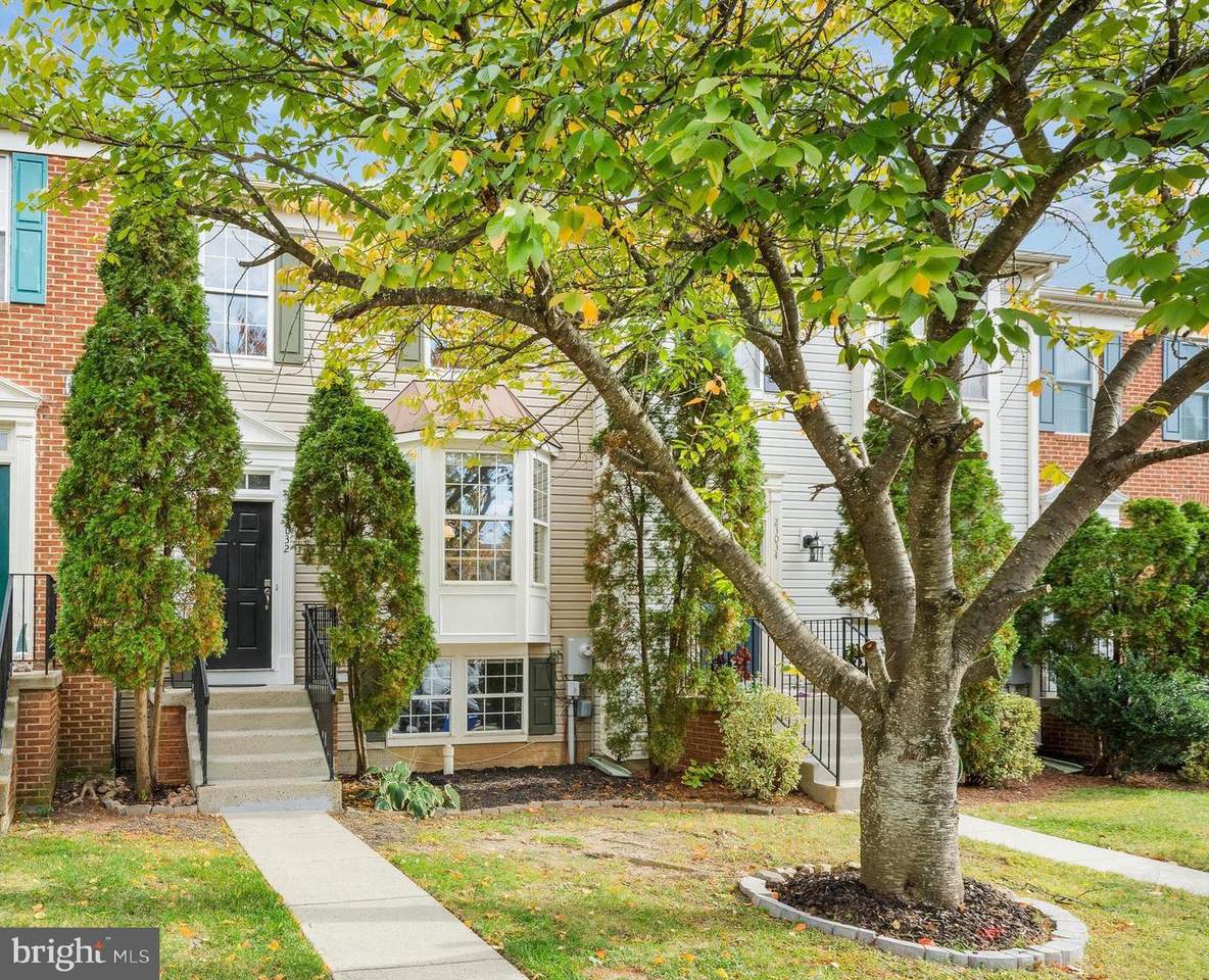 23032 Potomac Hill Square - Photo 1