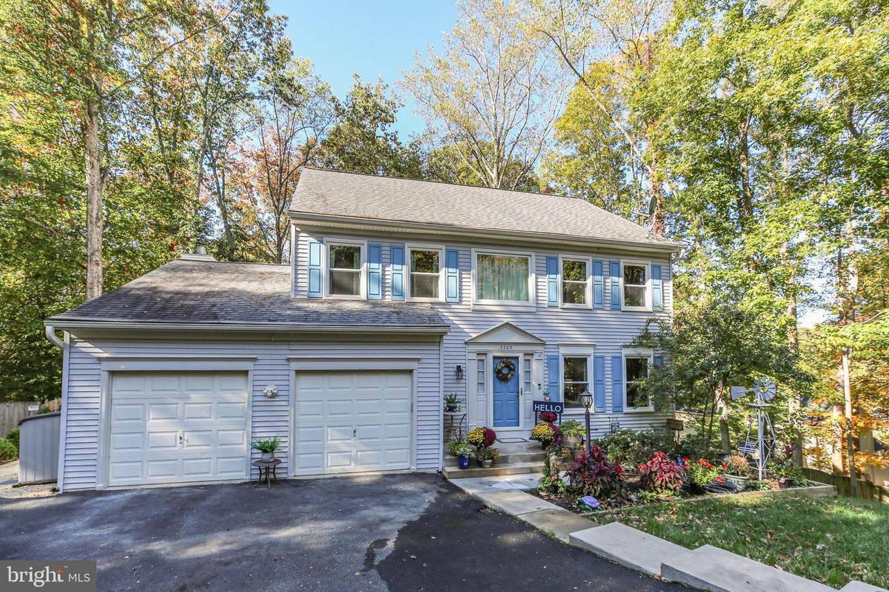 3203 Titanic Drive - Photo 1