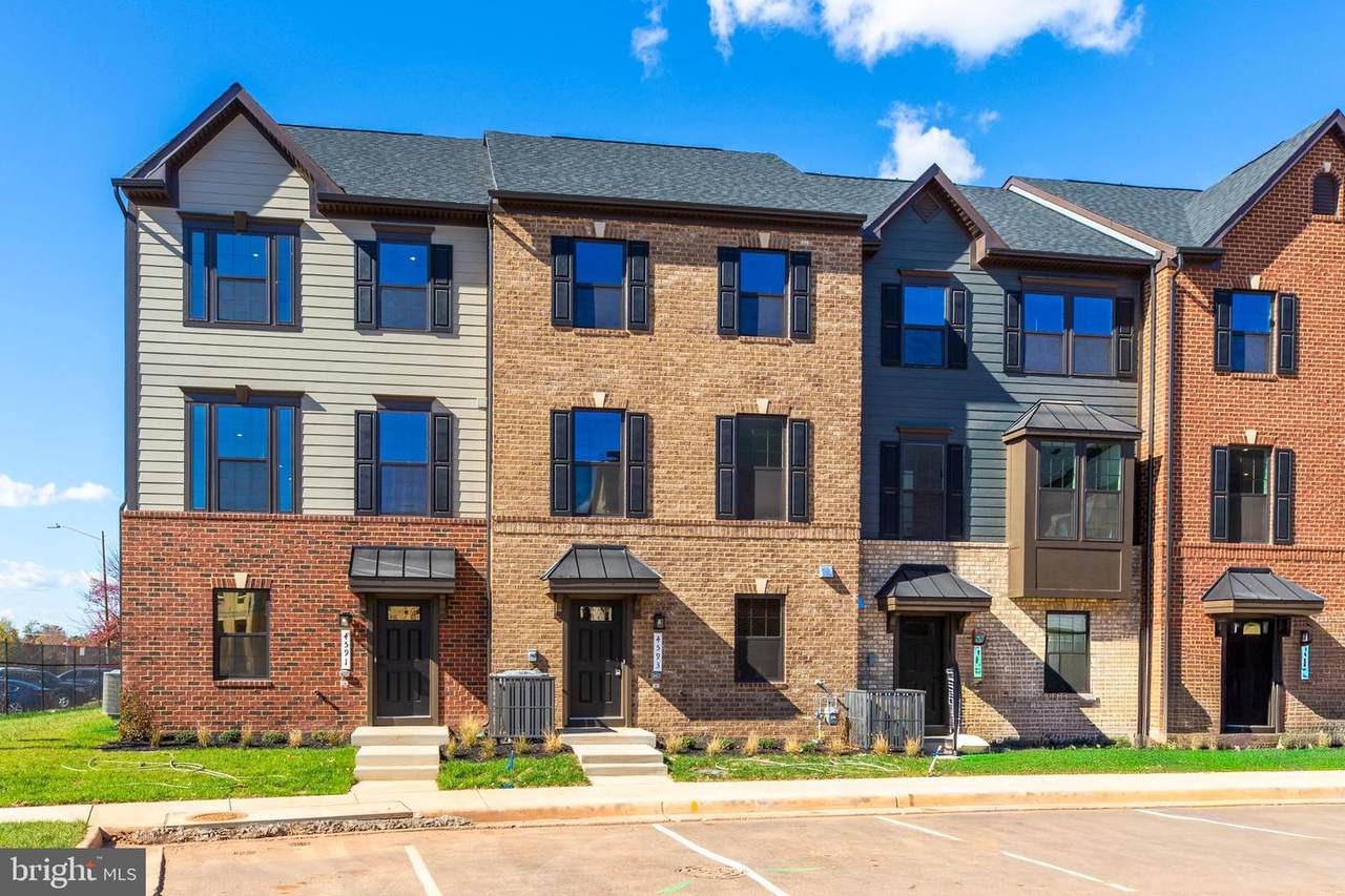 4593 Dandelion Loop - Photo 1