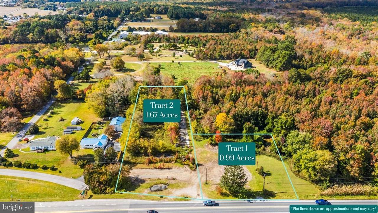 10307 Racetrack Road - Photo 1