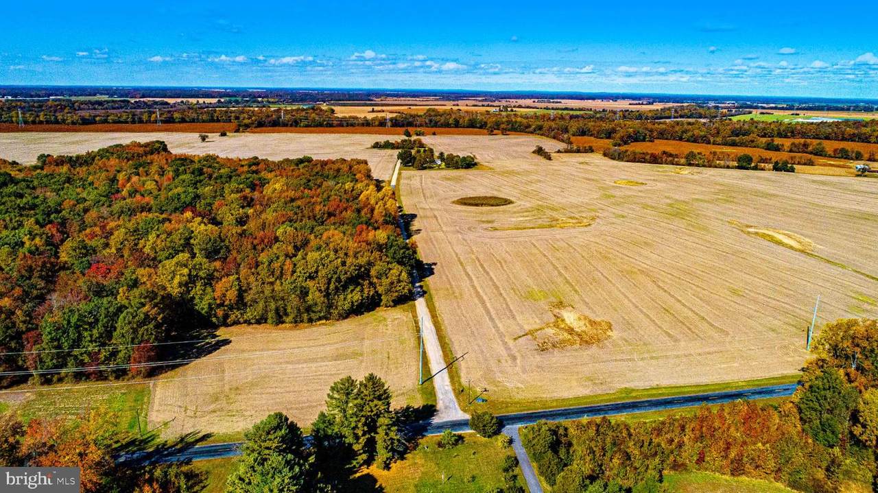 10434 Big Stone Road - Photo 1