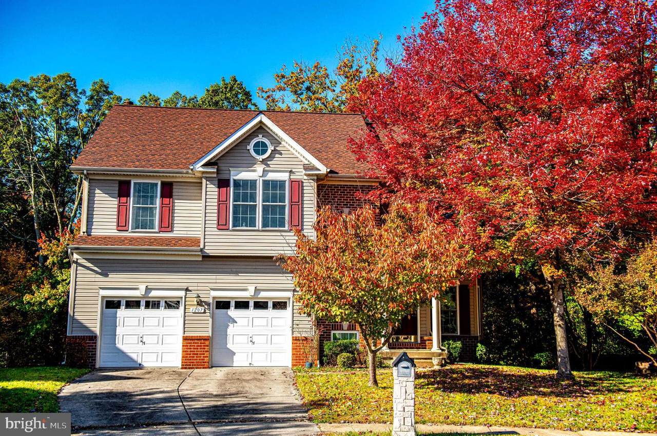 1207 Alder Shot Court - Photo 1