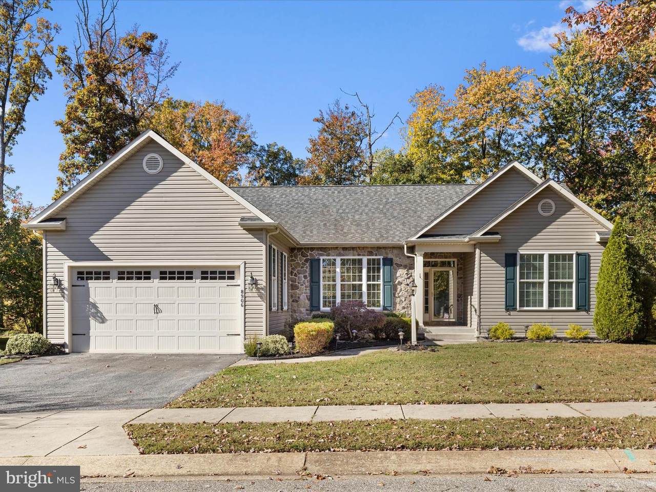 8906 Jeff Mar Drive - Photo 1