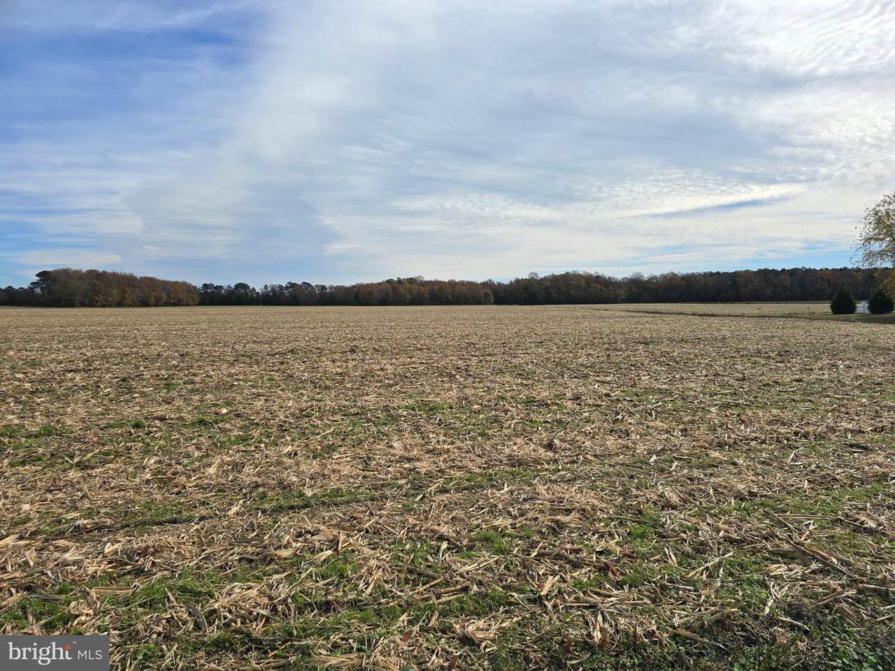 0 Richardson Road - Photo 1