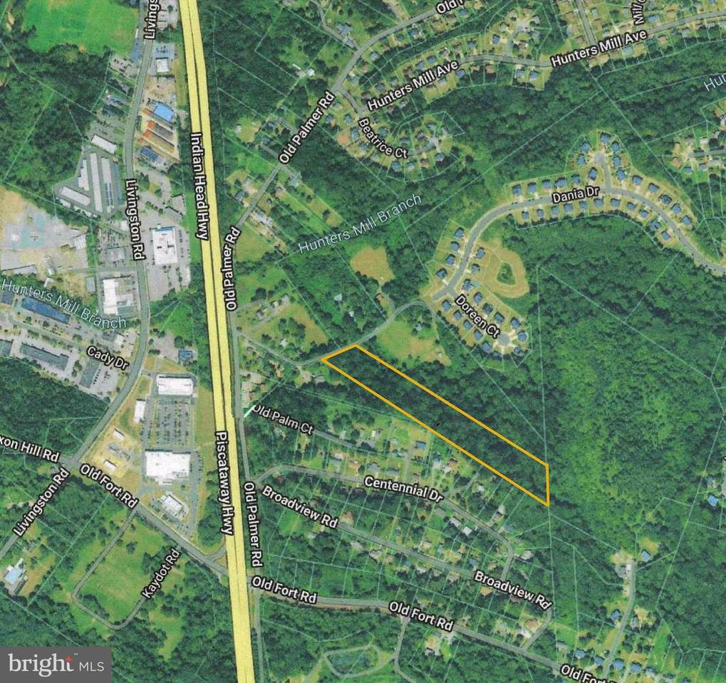  Old Palmer Road - Photo 1