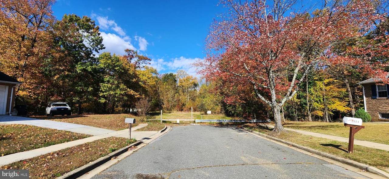2602 John A Thompson Road - Photo 1