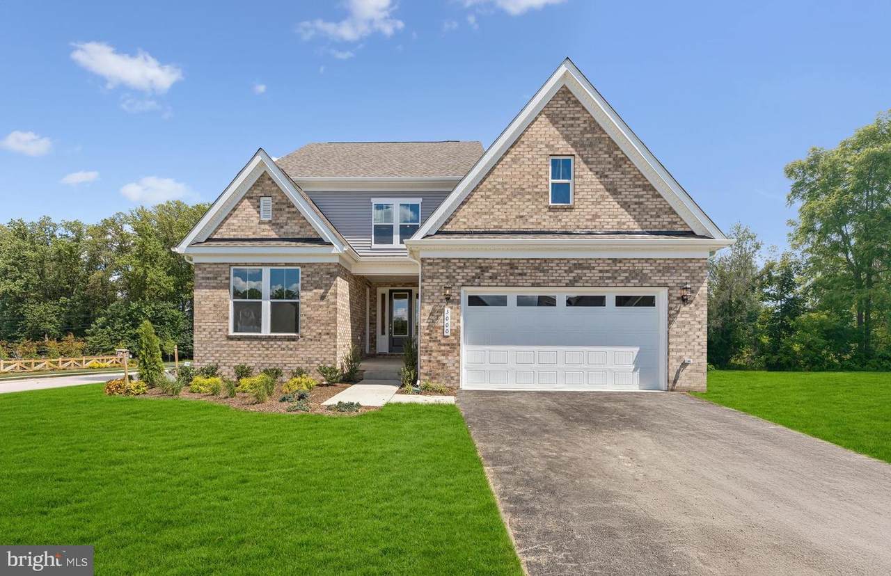 10403 Halmstad Drive - Photo 1