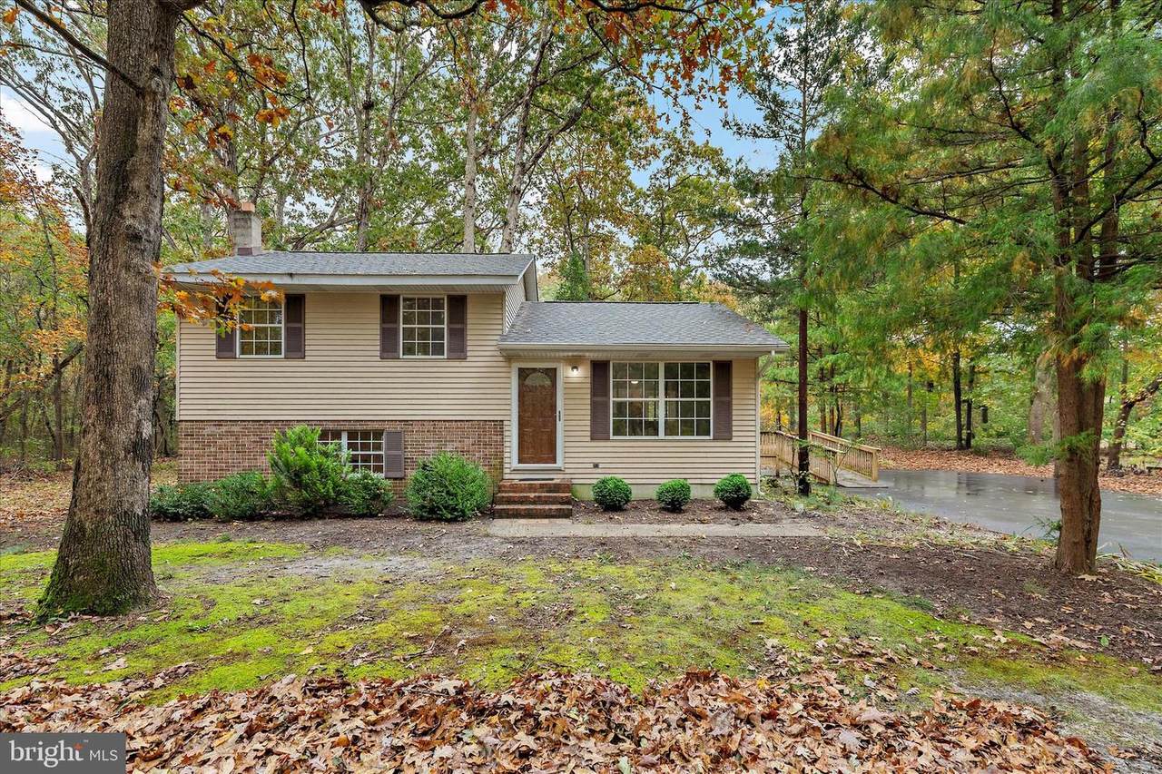 31703 Hickory Manor Road - Photo 1